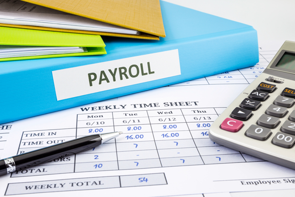 How Much Do Payroll Services Cost In 2025?