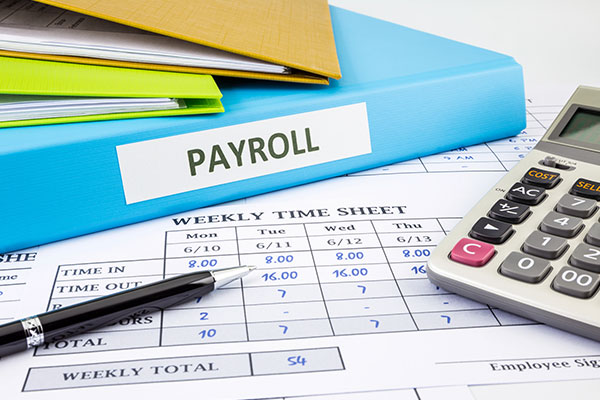 PEO Vs. Payroll Services: Which Option Is Right For Your Business?